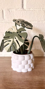 Decorative Plant Coaster