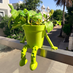 The Urban Zen Gardener